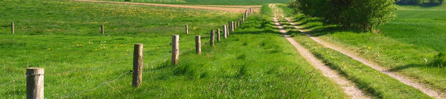 conni_eyrich_0000_Ebene 24.jpg